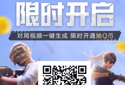 扫码上和平精英怎么弄_和平精英扫码科技