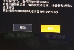 和平精英自瞄外挂_和平精英自瞄外挂第一视角