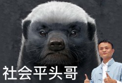 香肠派对平头哥鲨鱼哥_鲨鱼哥和平头哥开外挂