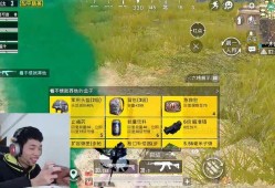 《和平精英外挂举报全攻略：维护公平游戏环境》_和平精英怎么举报别人外挂