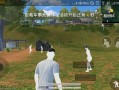 和平精英平板视角修改器下载免费_平板电脑卡和平精英透视
