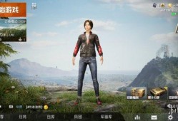 和平精英辅助器下载_天启和平精英辅助器