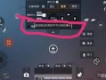 《和平精英科技透视穿墙功能使用指南》_和平精英怎么开科技开透视穿墙