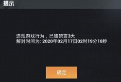 和平精英骆驼仪怎么用_和平精英同步仪等于外挂