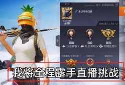和平精英怎么申诉防封号_和平精英开挂怎么不容易封号
