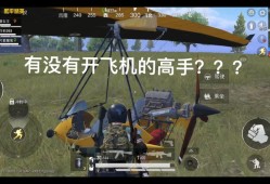 和平精英辅助工具有哪些_和平精英体验服外挂免费