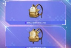 登录和平精英国际服时.登录不上_和平精英科技卡密登不上去闪退