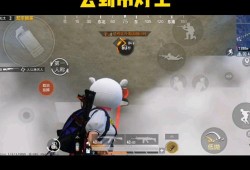 《揭秘和平精英游戏透视挂背后的风险与法律边界》_和平精英怎样做一个透视挂