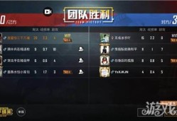 关于和平精英辅助团队的位置及相关信息解析_和平精英辅助团队在哪里