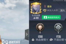 解决和平精英游戏中喵咪咪自瞄无反应问题的全面指南_和平精英喵咪咪自瞄没反应