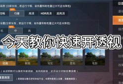 和平精英igg代码论坛_苹果igg和平精英透视代码