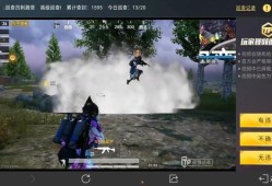 《和平精英科技大佬们的巅峰对决：技术与策略的完美融合》_和平精英科技大佬们的对决