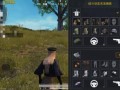 和平精英透视怎么下载_和平精英透视定制怎么弄