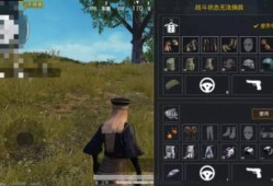 和平精英透视怎么下载_和平精英透视定制怎么弄