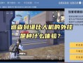 和平精英怎么当老大_和平精英巡查外挂系列