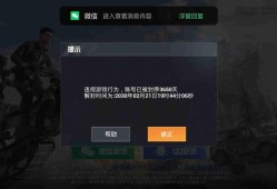 和平精英自瞄怎么设置_和平精英自瞄怎么玩的视频