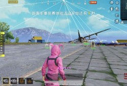 和平精英透视自瞄免费辅助_和平精英免费透视自瞄特色