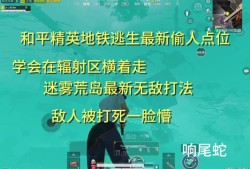 怎么举报和平精英_和平精英举报外挂反馈图片
