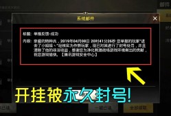 和平精英的挂是怎么使用的_和平精英怎么判断外挂行为