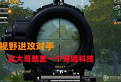 和平精英的辅助器_和平精英脉冲辅助器怎么开