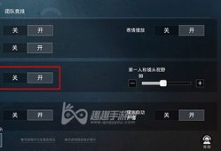 和平精英怎么才能开透视_和平精英透视眼怎么弄