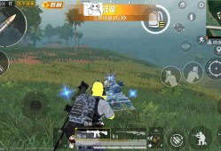 透视视野，和平精英之苟分高手之路_和平精英开透视苟分