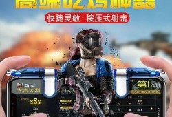 和平精英小超辅助_和平精英肥熊辅助