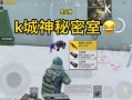 和平精英安卓版辅助器：游戏优化工具的使用与探讨_和平精英安卓版辅助器