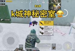 和平精英安卓版辅助器：游戏优化工具的使用与探讨_和平精英安卓版辅助器
