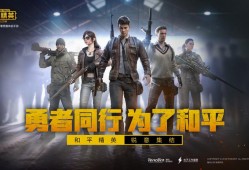和平精英oppo手机灵敏度_和平精英oppo手机自带挂