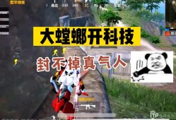 海豚遇到鲨鱼怎么办_鲨鱼遇到外挂化身和平使者