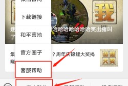 关于和平精英团竞飞天外挂的深度解析：合理使用科技，维护公平竞技环境_和平精英团竞飞天外挂