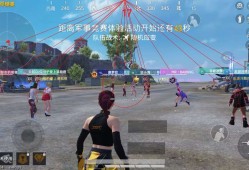 和平精英透视辅助【保时捷V5.4直装】全图透视自瞄辅助