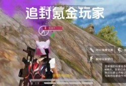 和平精英手游辅助器(免费)_和平精英辅助触控软件