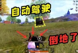 和平精英开车遭遇瞬秒外挂：揭露问题、危害与解决方案_和平精英开车被瞬秒的挂