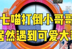 猫七和平精英_和平精英七猫科技有限公司