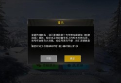 和平精英战斗机_开挂战斗机和平精英哪个厉害