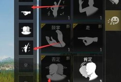 《和平精英：游戏内开启跳舞功能的开挂指南》_和平精英怎么开挂跳舞