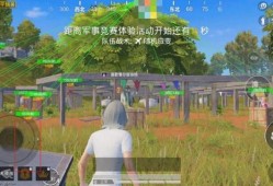 和平精英kk辅助ios_kk外挂和平精英
