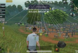 和平精英转盘语音_和平精英外挂开启语音
