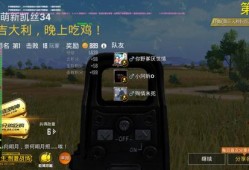 和平精英外挂之前的对决：技术、策略与荣耀的较量_和平精英外挂之前的对决