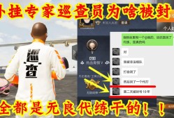 和平精英挂多得没法玩_和平精英外挂非常多