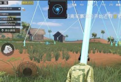 和平精英训练场使用外挂行为详解及其影响与防范建议_和平精英训练场开外挂