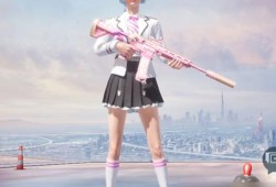 透视和平精英免费_和平精英内部观战透视