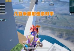透视自瞄和平精英_和平精英腰射自瞄视频