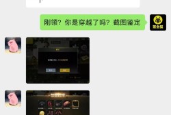 和平精英科技鉴定：游戏技术与策略的深度探索_和平精英科技鉴定