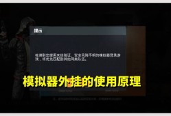 《和平精英游戏安全指南：避免外挂，正确游戏方式》_和平精英如何正确的装外挂