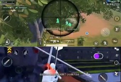 和平精英怎样才能开科技_和平精英怎样可以开科技