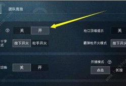和平精英透视眼下载_和平精英隐藏的透视眼