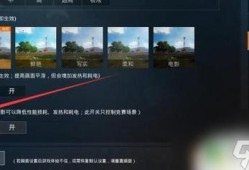 和平精英怎么透视_和平精英怎么弄人物透视